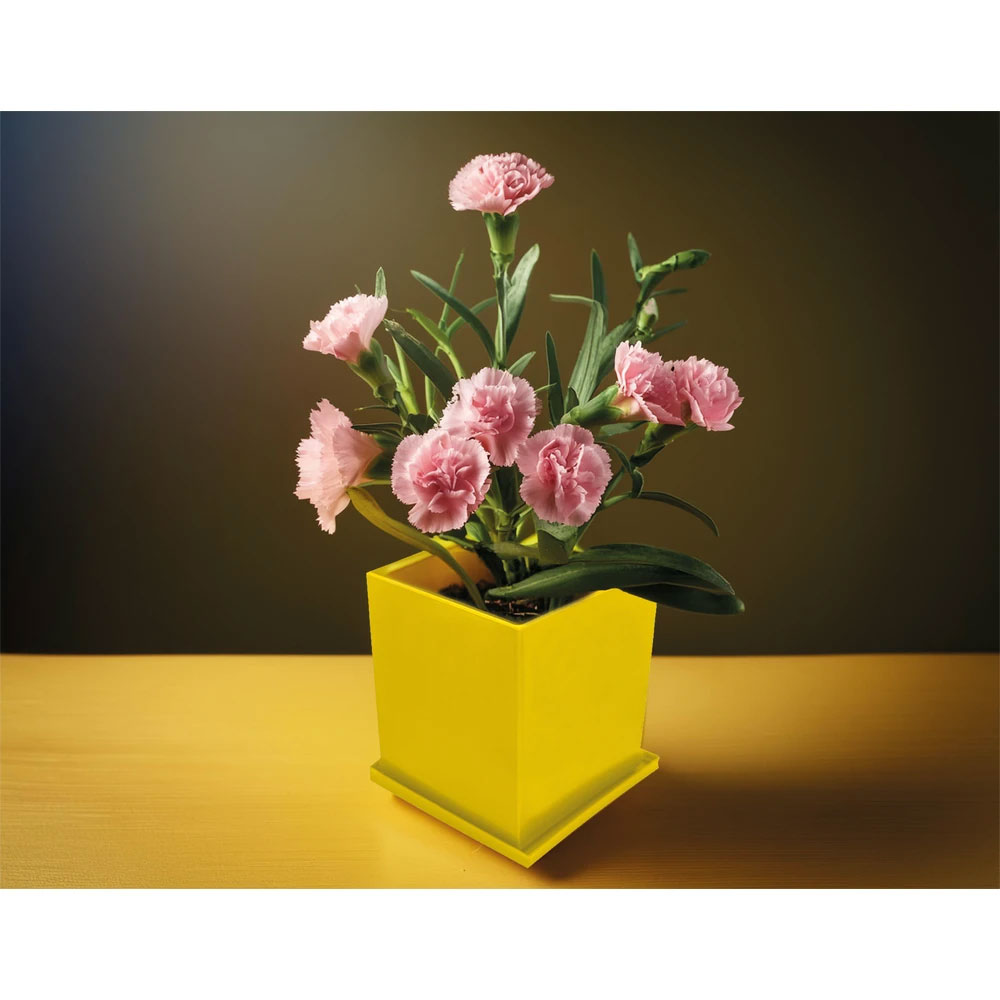  Kapaklı Bitki Dikim Seti