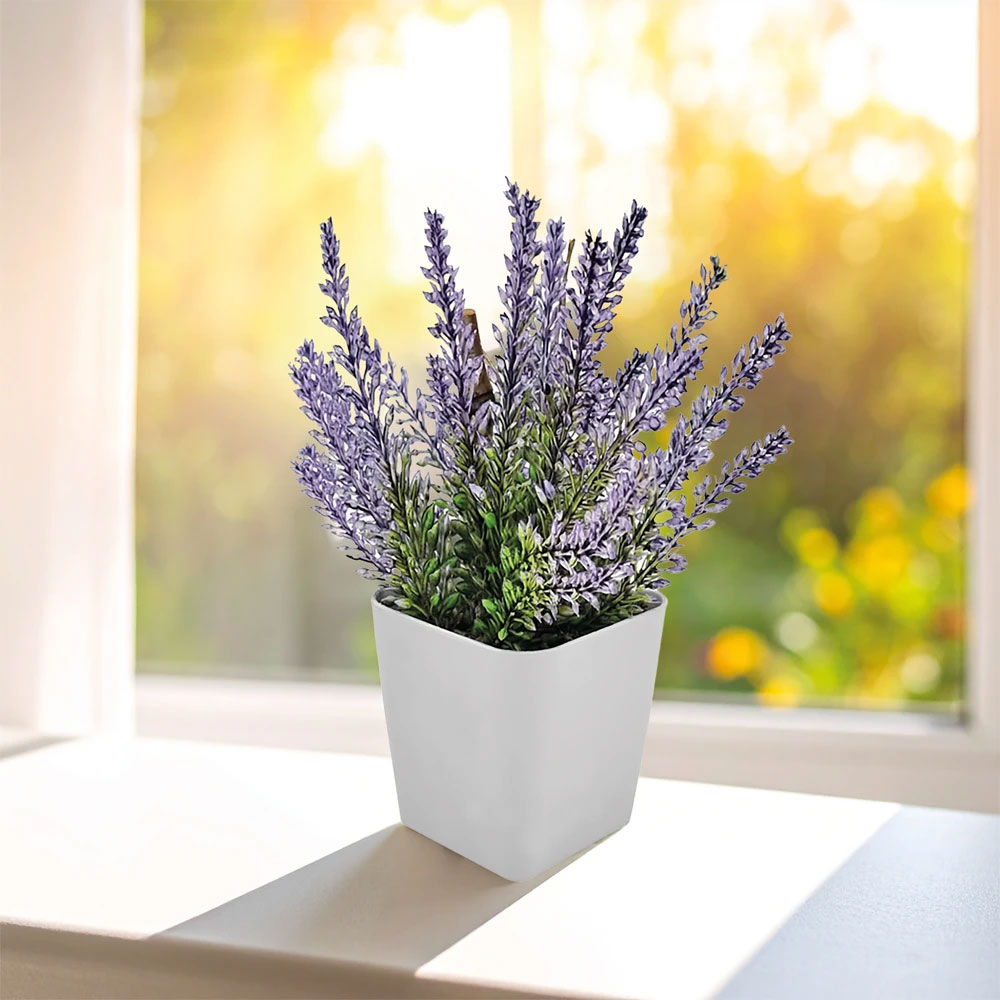  Bitki Yetiştirme Seti